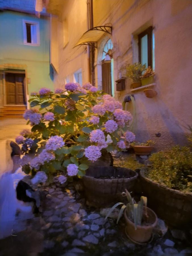 Casa Degli Ulivi
