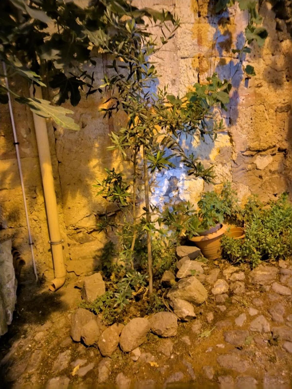 Casa Degli Ulivi